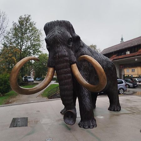 Apartma Mamut 1850 Kamnik Buitenkant foto