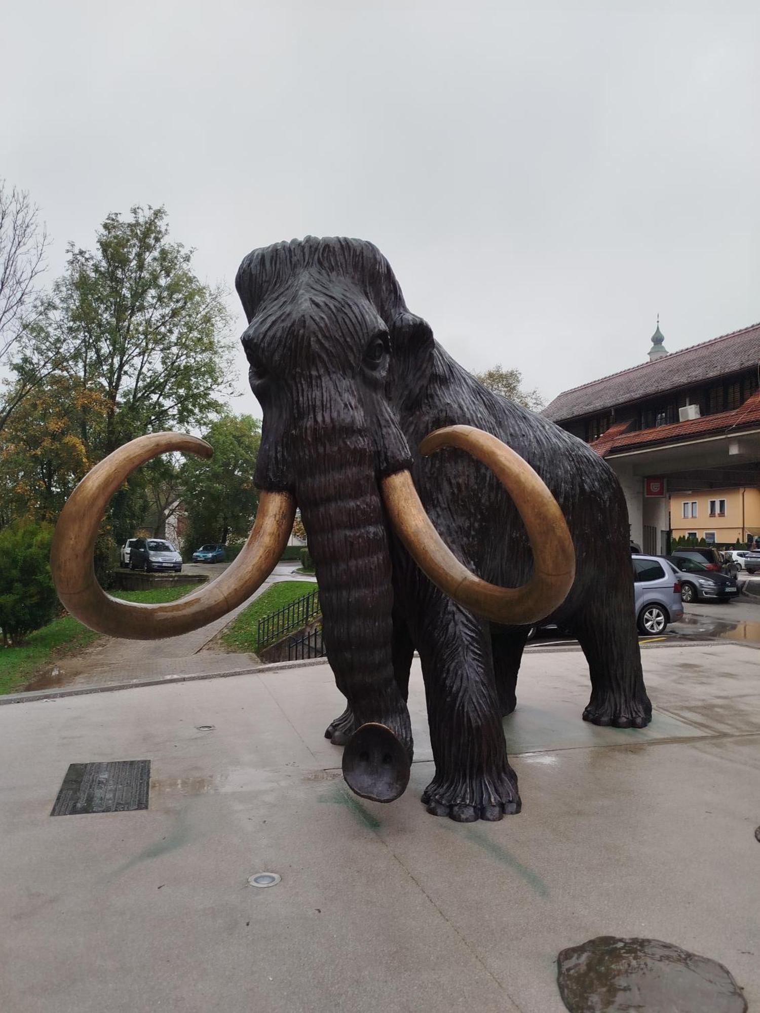 Apartma Mamut 1850 Kamnik Buitenkant foto